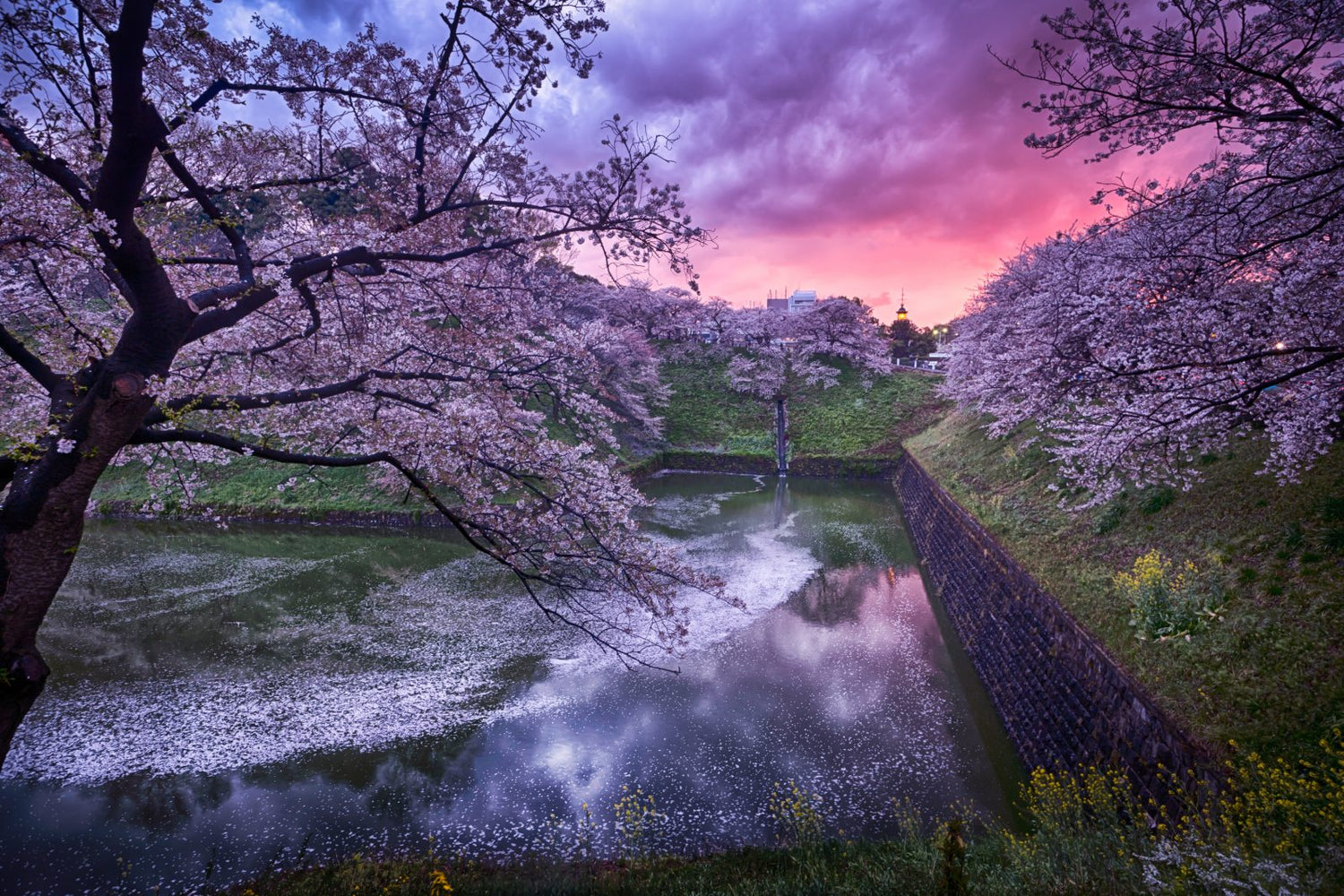 LANDSCAPE